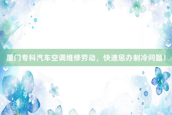 厦门专科汽车空调维修劳动，快速惩办制冷问题！