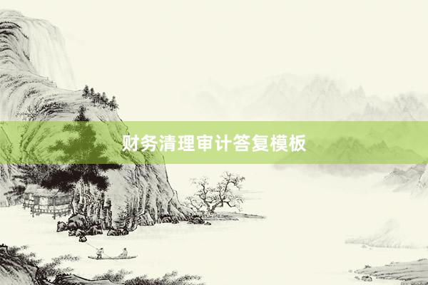 财务清理审计答复模板